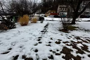 627 N Garfield Ave, Schuylkill Haven, PA 17972 - Photo 3