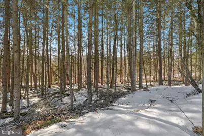 4 Codorus Road, Barnesville, PA 18214 - Photo 41