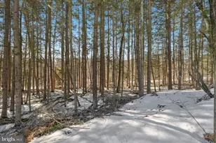 4 Codorus Rd, Barnesville, PA 18214 - Photo 41