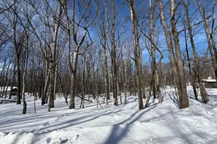 79 Saint Moritz, Zion Grove, PA 17985 - Photo 1