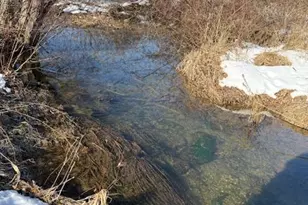 857 Penn Dr, Tamaqua, PA 18252 - Photo 15