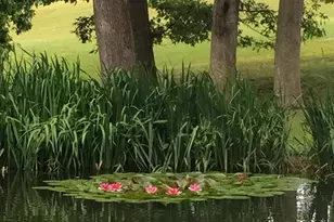 76 Zehner Ln, Landingville, PA 17972 - Photo 27