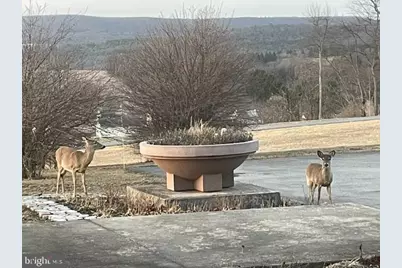76 Zehner Lane, Landingville, PA 17972 - Photo 23