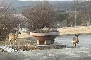 76 Zehner Ln, Landingville, PA 17972 - Photo 23