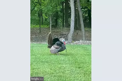 643 Deturksville Road, Pine Grove, PA 17963 - Photo 59