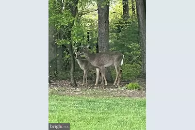 643 Deturksville Road, Pine Grove, PA 17963 - Photo 57