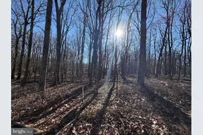344 White Face Circle, Zion Grove, PA 17985 - Photo 3