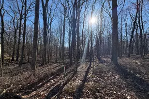 345 White Face Cir, Zion Grove, PA 17985 - Photo 1