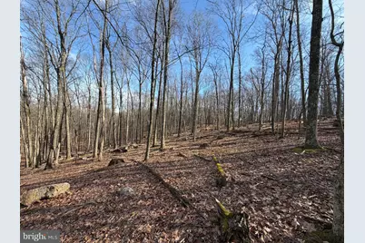 329 Whiteface Circle, Zion Grove, PA 17985 - Photo 3