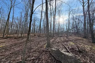 329 White Face Cir, Zion Grove, PA 17985 - Photo 1