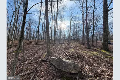 329 Whiteface Circle, Zion Grove, PA 17985 - Photo 5