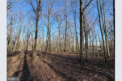 386 Davos Circle, Zion Grove, PA 17985 - Photo 3