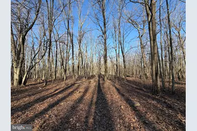 386 Davos Circle, Zion Grove, PA 17985 - Photo 5