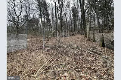 531 Peacock Street, Pottsville, PA 17901 - Photo 7