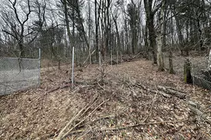 531 Peacock St, Pottsville, PA 17901 - Photo 7