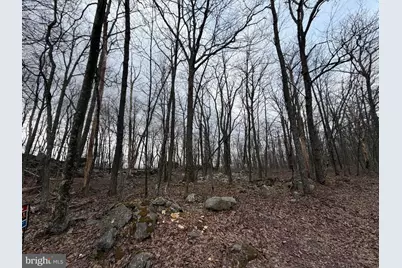 Lot 287.1 Spring Mountain Dr, Zion Grove, PA 17985 - Photo 3