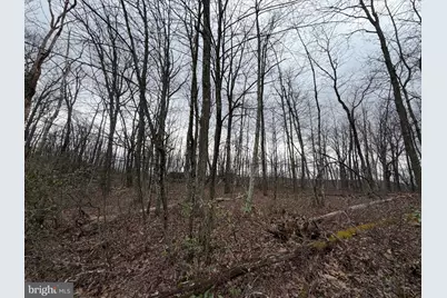 Lot 287.1 Spring Mountain Dr, Zion Grove, PA 17985 - Photo 5