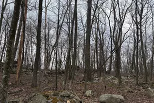 Lot 287 1 Spring Mountain Dr, Zion Grove, PA 17985 - Photo 1