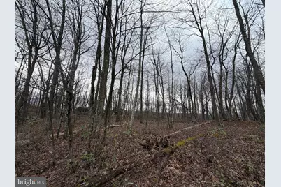 Lot 287.2 Spring Mountain Dr, Zion Grove, PA 17985 - Photo 1