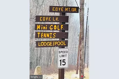 135 Spring Mountain Dr, Zion Grove, PA 17985 - Photo 5