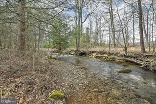 232 Bear Creek Rd, Schuylkill Haven, PA 17972 - Photo 5