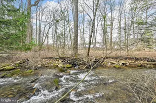 232 Bear Creek Rd, Schuylkill Haven, PA 17972 - Photo 7