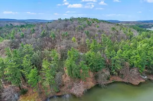 92 Shoreline Dr, Pine Grove, PA 17963 - Photo 63