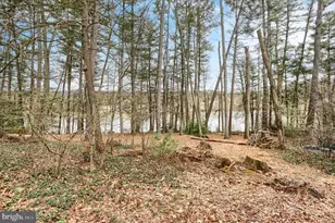 92 Shoreline Dr, Pine Grove, PA 17963 - Photo 59