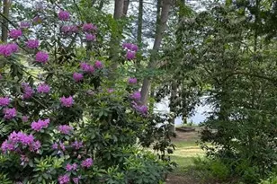 92 Shoreline Dr, Pine Grove, PA 17963 - Photo 77