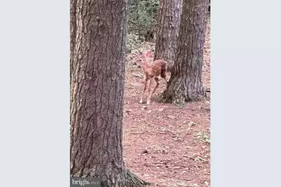 92 Shoreline Drive, Pine Grove, PA 17963 - Photo 81