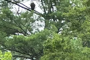 92 Shoreline Dr, Pine Grove, PA 17963 - Photo 71