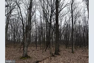 519 Haystack Drive, Zion Grove, PA 17985 - Photo 3