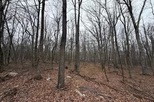 519 Hay Stack Dr, Zion Grove, PA 17985 - Photo 1