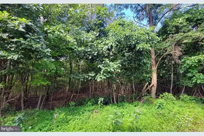 Whitetail Crossing Road, Tamaqua, PA 18252 - Photo 3