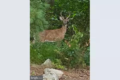 430 Mohave Drive, Auburn, PA 17922 - Photo 37