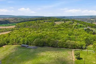 954 Schuylkill Mountain Rd, Schuylkill Haven, PA 17972 - Photo 43