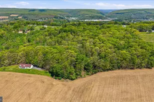 954 Schuylkill Mountain Rd, Schuylkill Haven, PA 17972 - Photo 41
