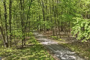 954 Schuylkill Mountain Rd, Schuylkill Haven, PA 17972 - Photo 39