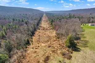 623 Brockton Mountain Dr, Barnesville, PA 18214 - Photo 73