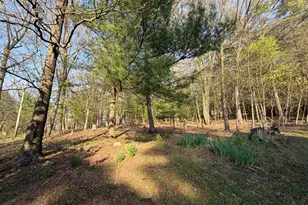 2377 Stallion Dr, Auburn, PA 17922 - Photo 3