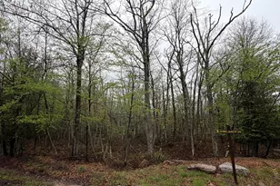 571 Hay Stack Dr, Zion Grove, PA 17985 - Photo 1