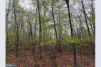 571 Haystack Drive, Zion Grove, PA 17985 - Photo 3