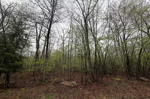 570 Hay Stack Dr, Zion Grove, PA 17985 - Photo 1