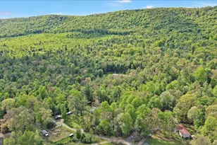 81 Stump Ln, Pine Grove, PA 17963 - Photo 13