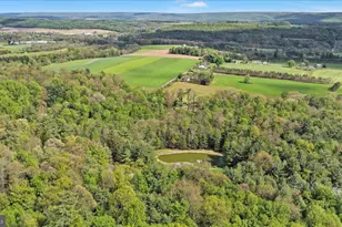 81 Stump Ln, Pine Grove, PA 17963 - Photo 5