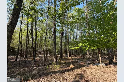 462 Spring Mountain Dr, Zion Grove, PA 17985 - Photo 5