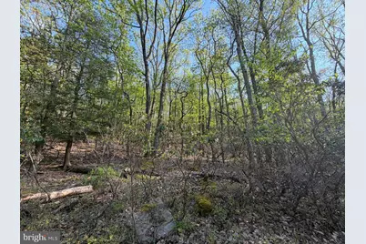 462 Spring Mountain Dr, Zion Grove, PA 17985 - Photo 1