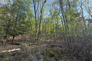 462 Spring Mountain Dr, Zion Grove, PA 17985 - Photo 1