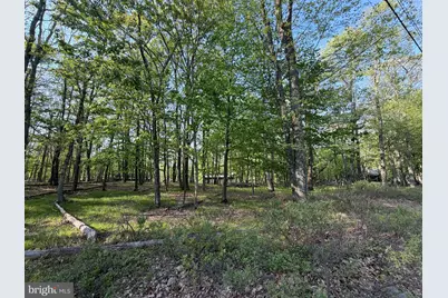 58 Jay Peak Lane, Zion Grove, PA 17985 - Photo 3