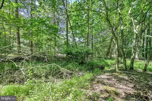 190 Brier City Rd, Pottsville, PA 17901 - Photo 33